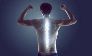 spine health